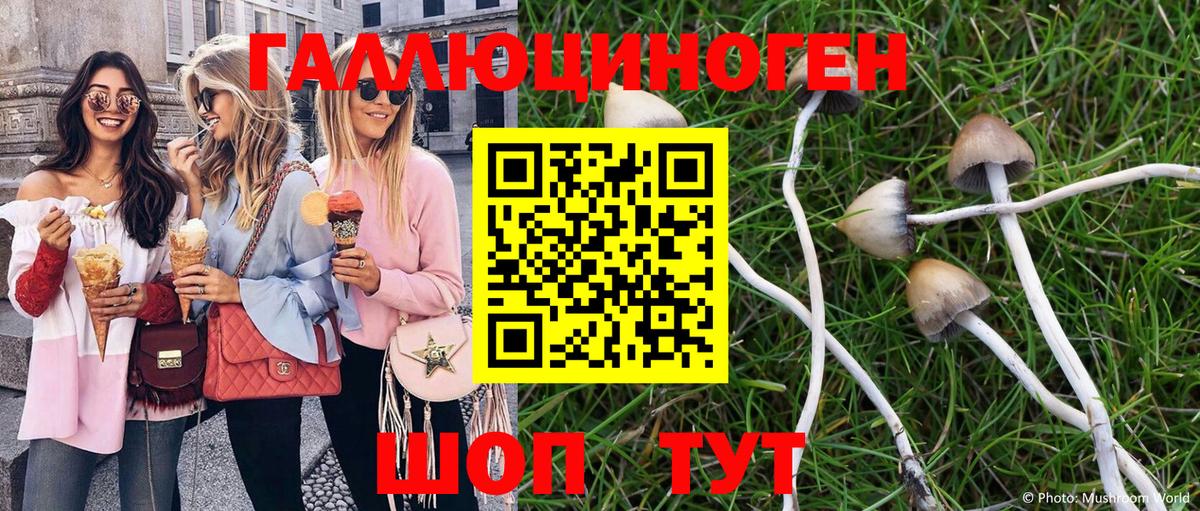 Галлюциногенные грибы ЛСД  Галлюциногенные грибы MAGIC MUSHROOMS  Черняховск  Вход с VPN 